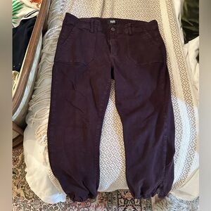 Paige denim jogger style pant